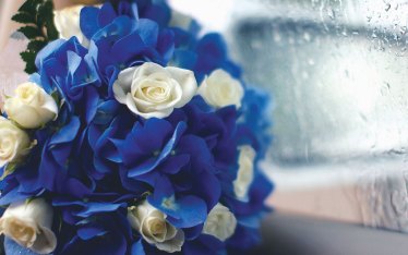 Wedding Liability Cancellation Coverage