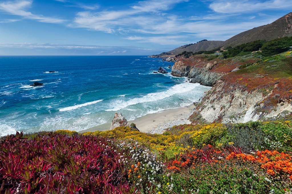 california wedding insurance