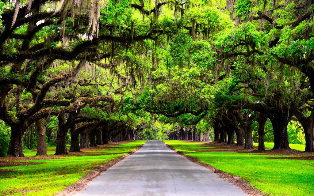 southern weddings louisiana