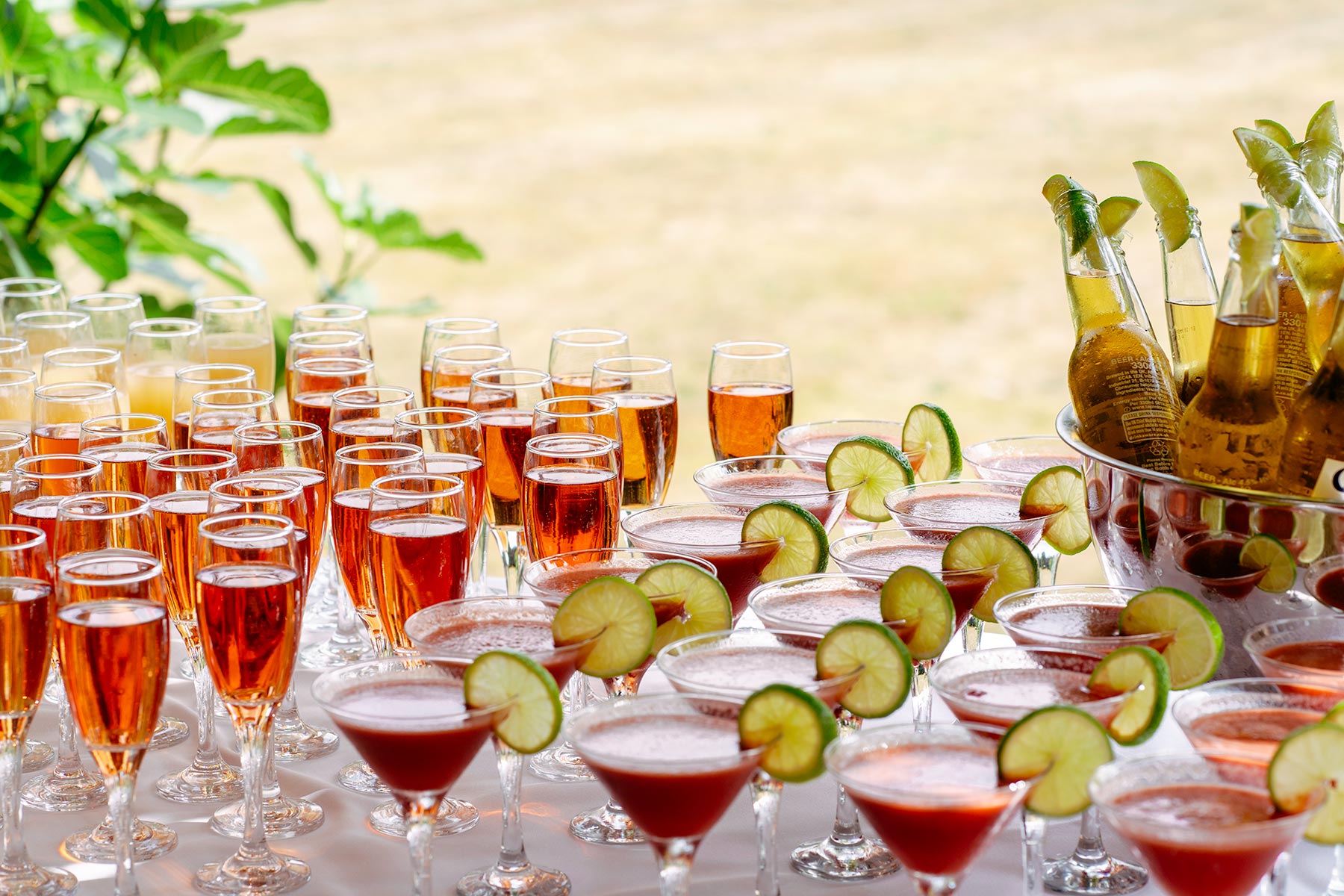 alcohol or alcohol-free at wedding